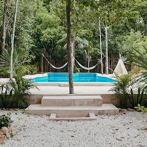 Hotel Lunita Jungle Experience