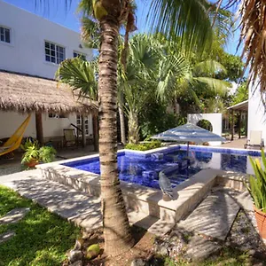 Bed & Breakfast Escondida Downtown Mexico